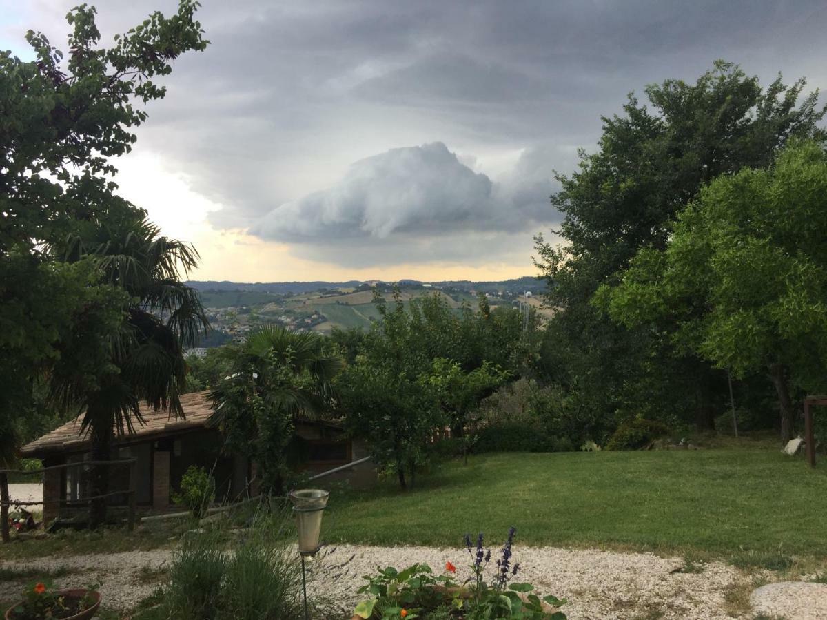 Agriturismo Montedago Ανκόνα Εξωτερικό φωτογραφία